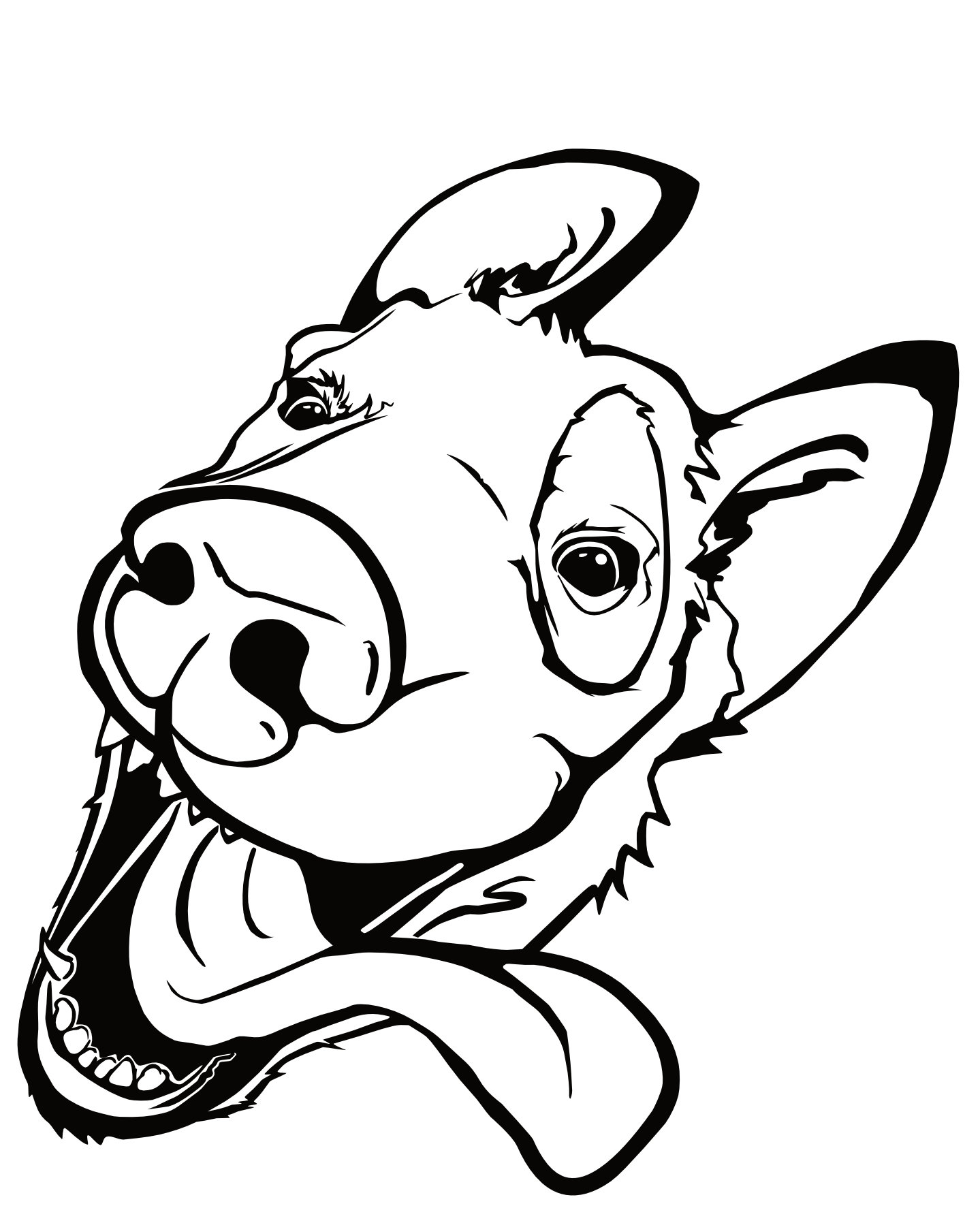 Custom Image-Based Vinyl Decals — Turn Artwork Into a High-Quality Sticker